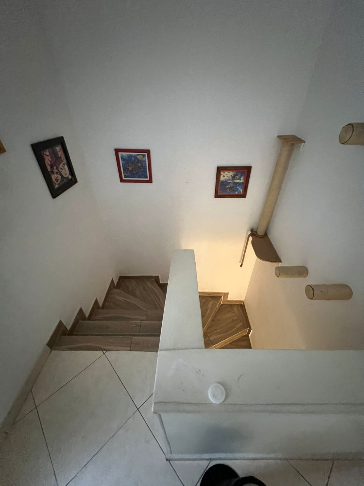 Casa en venta Tolima Ibagué Ub Agua Marina 49 m2 Habitaciones 4 Baños 2 Garajes 0 Precio $250000000