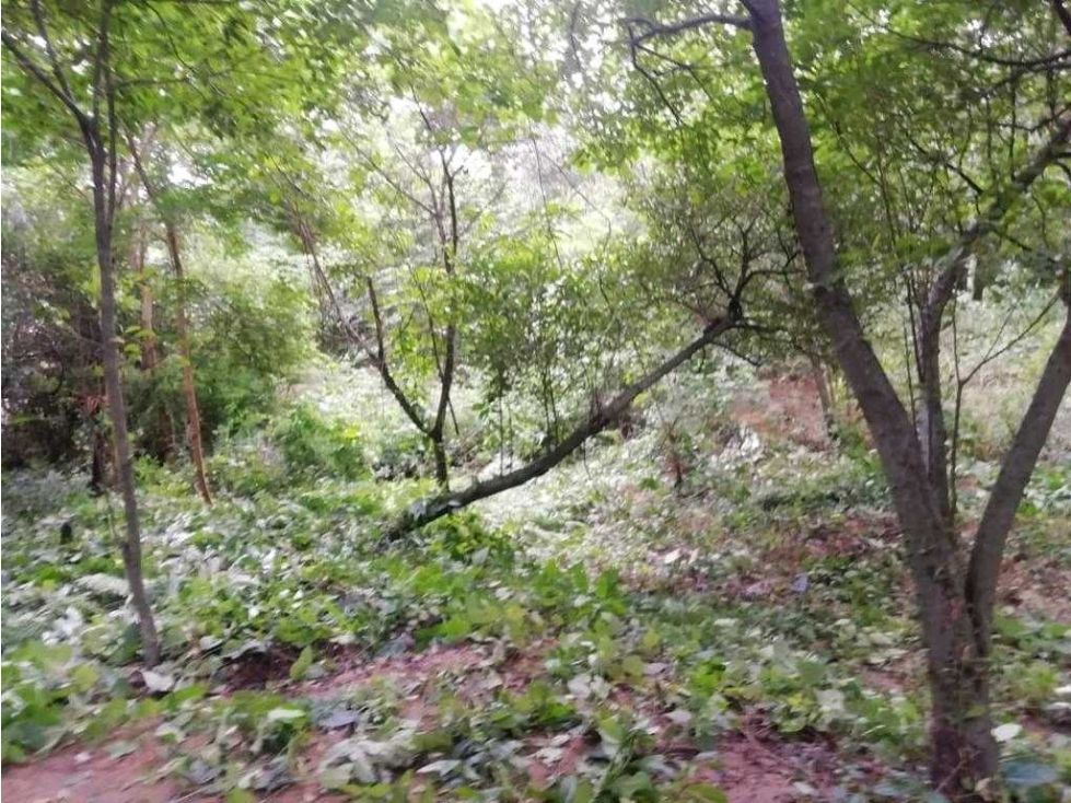 Lote en venta Magdalena Santa Marta Santa Marta 15752 m2 Habitaciones 0 Baños 0 Garajes 0 Precio $472560000