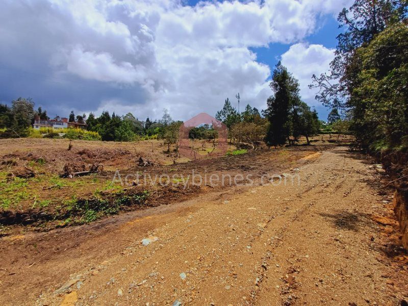 Lote en venta Antioquia Guarne Centro 1962 m2 Habitaciones 0 Baños 0 Garajes 0 Precio $330000000