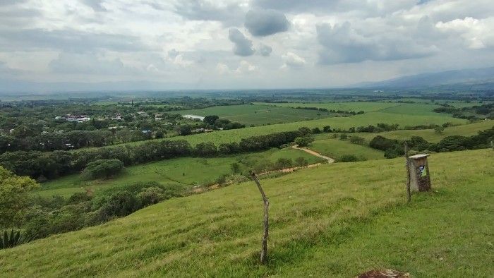 Lote en venta Valle Del Cauca Palmira Alfonso López 3200 m2 Habitaciones 0 Baños 0 Garajes 0 Precio $450000000