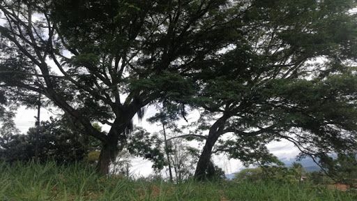 Lote en venta Risaralda Pereira Pereira 400 m2 Habitaciones 0 Baños 0 Garajes 0 Precio $130000000