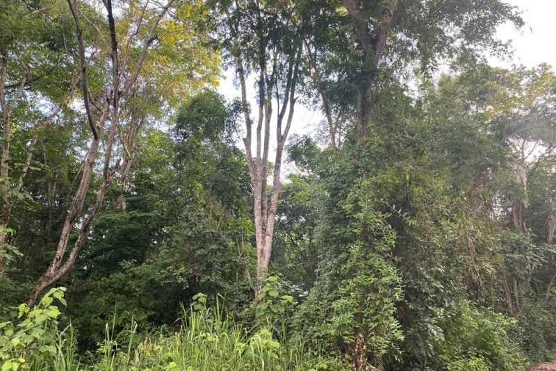 Lote en venta Cundinamarca Anapoima Anapoima 0 m2 Habitaciones 0 Baños 0 Garajes 0 Precio $1200000000