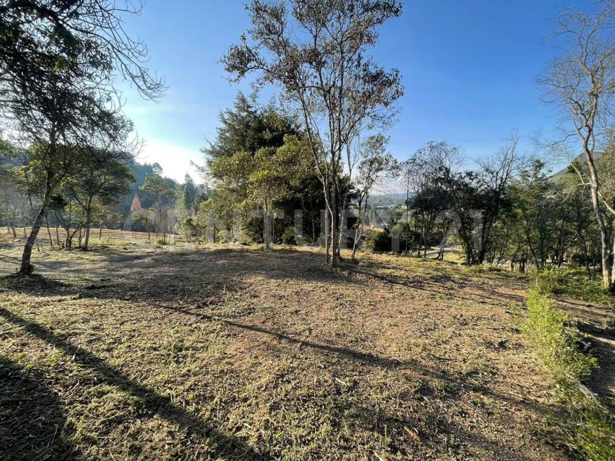 Lote en venta Antioquia El Retiro El Retiro 1787 m2 Habitaciones 0 Baños 1 Garajes 0 Precio $650000000