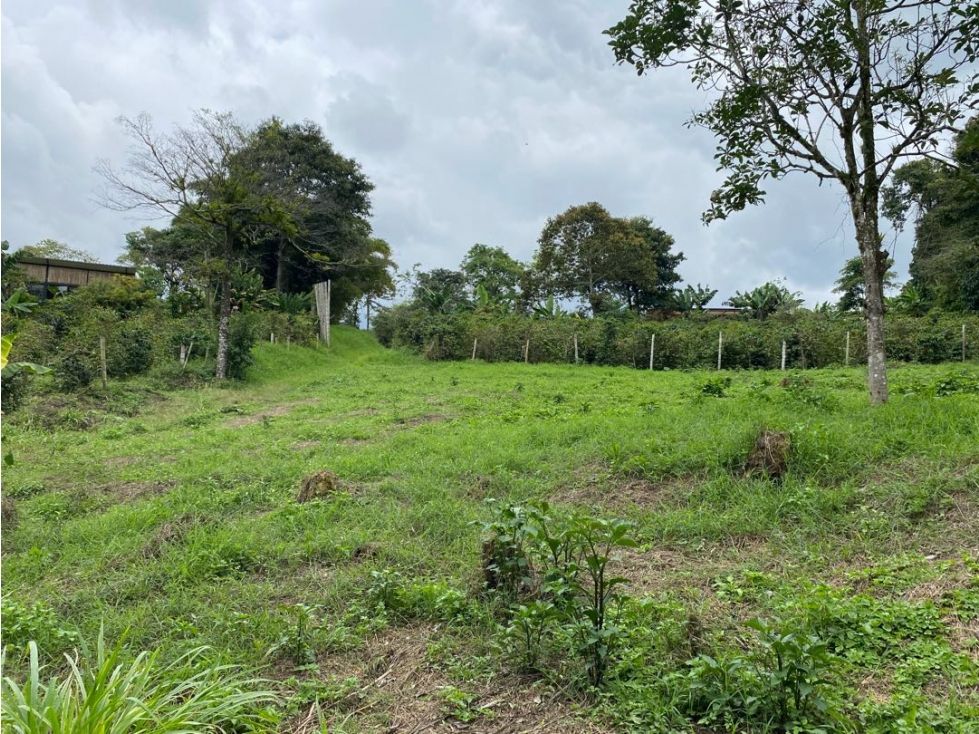 Lote en venta Risaralda Pereira Pereira 1350 m2 Habitaciones 0 Baños 0 Garajes 0 Precio $229500000