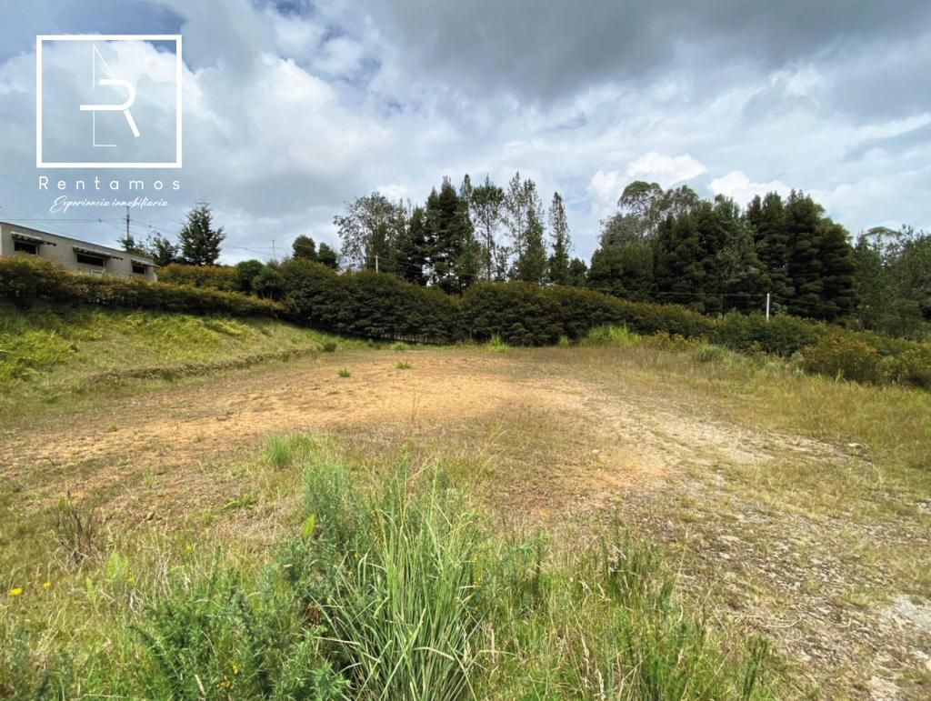 Lote en venta Antioquia Envigado Palma De Mollorca 1700 m2 Habitaciones 0 Baños 0 Garajes 0 Precio $950000000