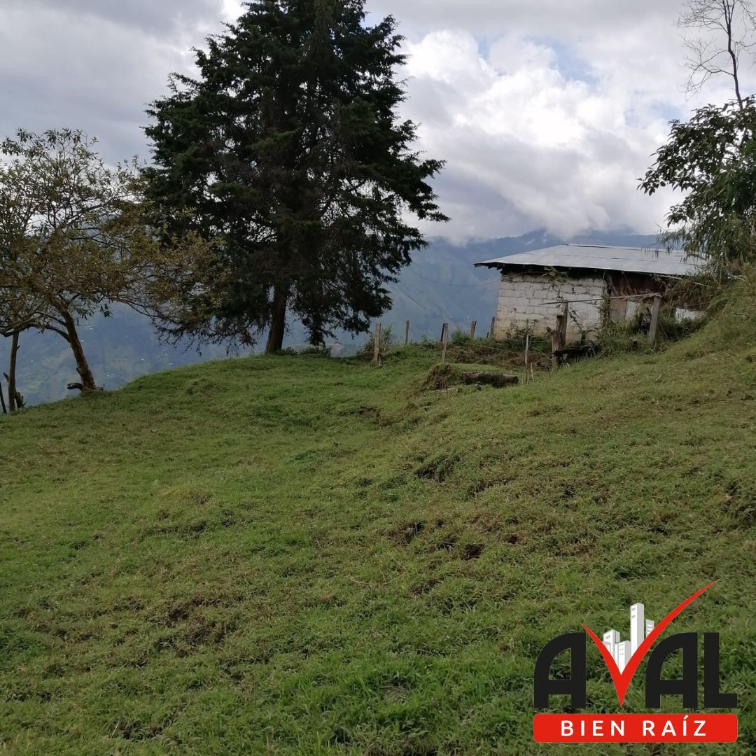 Finca en venta Antioquia Liborina Liborina 30 m2 Habitaciones 0 Baños 0 Garajes 0 Precio $172000000