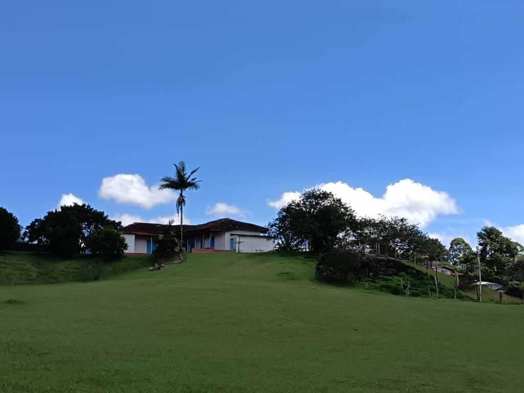 Casa en venta Antioquia El Carmen De Viboral El Centro 200 m2 Habitaciones 1 Baños 1 Garajes 0 Precio $1500000000