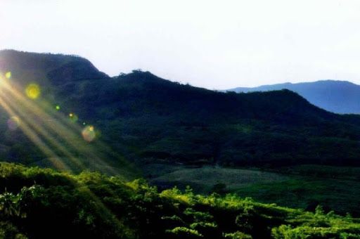 Lote en venta Cundinamarca Anapoima Anapoima 10001 m2 Habitaciones 0 Baños 0 Garajes 0 Precio $554400000