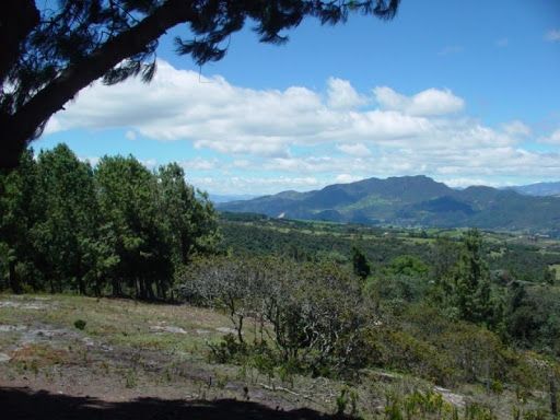 Lote en venta Cundinamarca Sopó Sopó 7058 m2 Habitaciones 0 Baños 0 Garajes 0 Precio $720000000