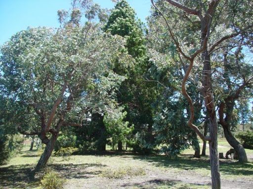 Lote en venta Cundinamarca Sopó Sopó 8154 m2 Habitaciones 0 Baños 0 Garajes 0 Precio $570000000