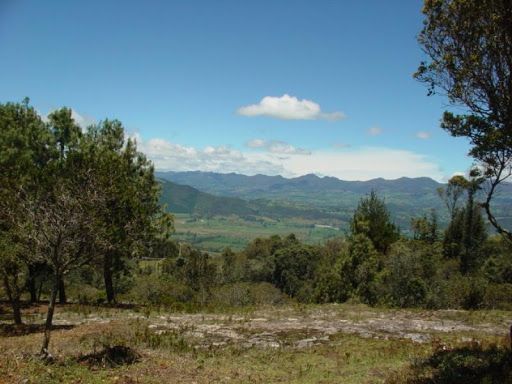 Lote en venta Cundinamarca Sopó Sopó 5163 m2 Habitaciones 0 Baños 0 Garajes 0 Precio $370000000