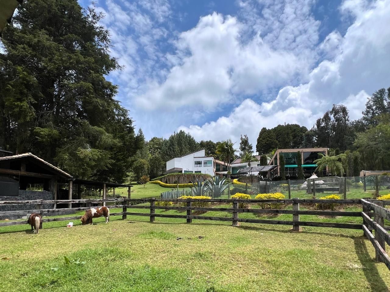 Casa Campestre en venta Antioquia Medellín Las Palmas 900 m2 Habitaciones 6 Baños 8 Garajes 10 Precio $12000000000