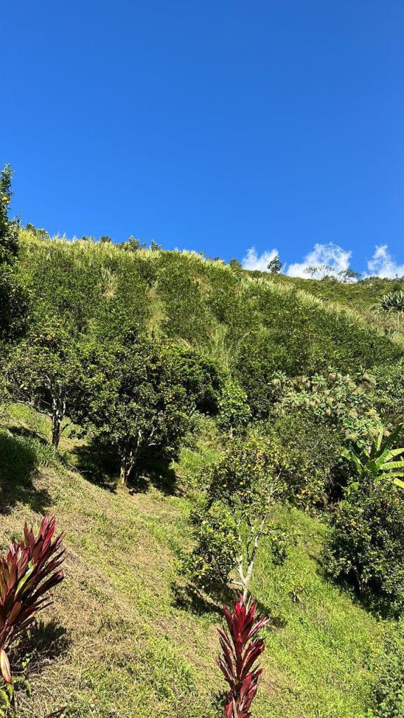 Finca en venta Antioquia Barbosa El Progreso 14 m2 Habitaciones 0 Baños 0 Garajes 0 Precio $1500000000