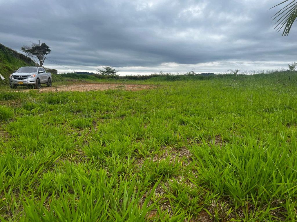 Lote en venta Antioquia Yolombó Yolombó 0 m2 Habitaciones 0 Baños 0 Garajes 0 Precio $300000000
