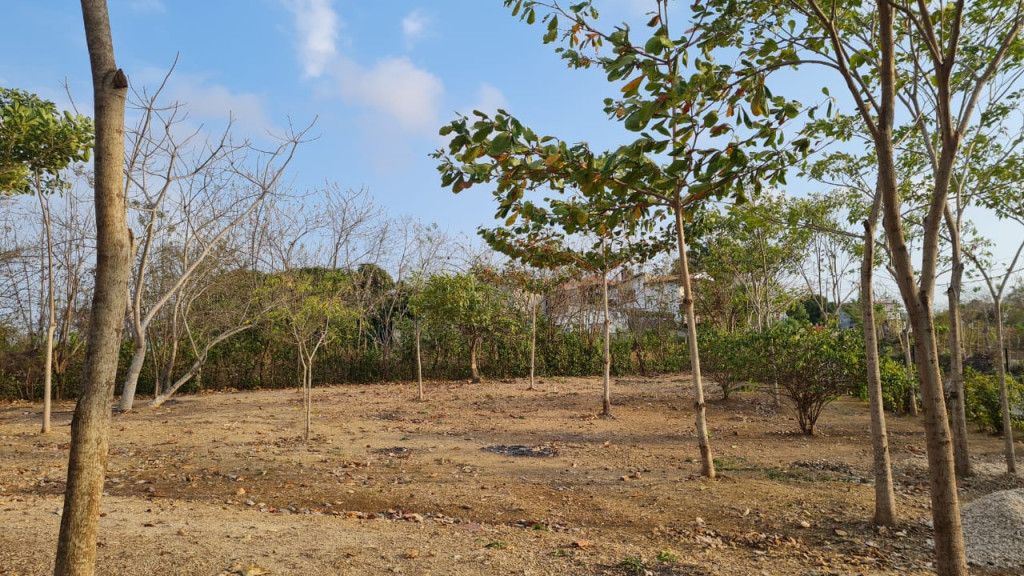 Lote en venta Córdoba Montería Ub Samaria 0 m2 Habitaciones 0 Baños 0 Garajes 0 Precio $1900000000