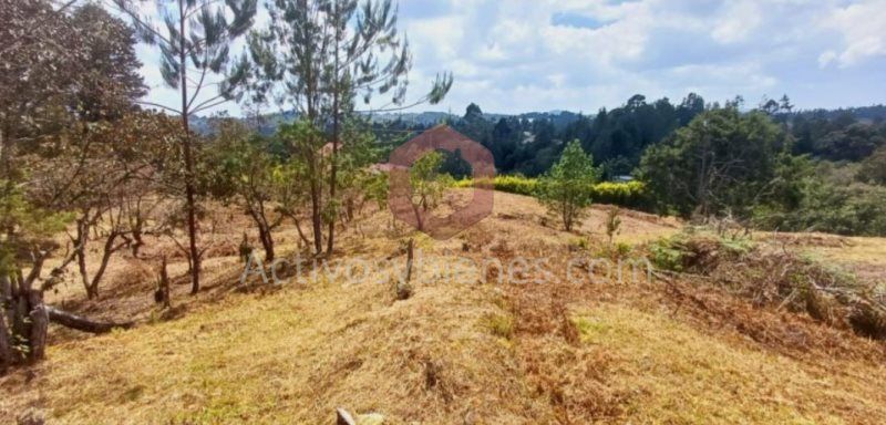 Lote en venta Antioquia Guarne Guarne 1962 m2 Habitaciones 0 Baños 0 Garajes 0 Precio $330000000