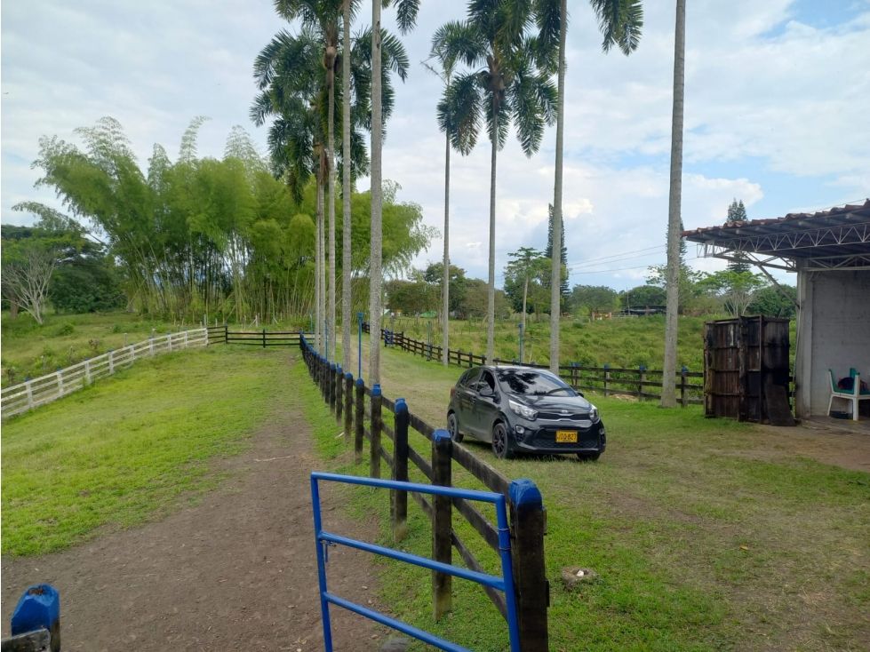 Finca en venta Risaralda Pereira San Jose 460 m2 Habitaciones 4 Baños 2 Garajes 6 Precio $3500000000