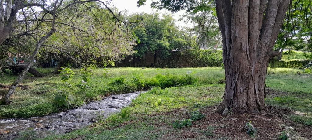 Lote en venta Valle Del Cauca Cali Parcelaciones Pance 0 m2 Habitaciones 0 Baños 0 Garajes 0 Precio $10087000000