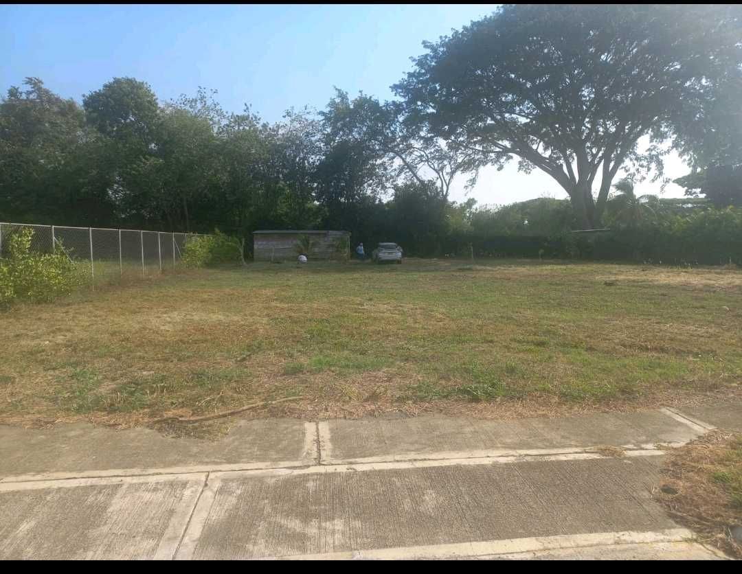 Lote en venta Valle Del Cauca Palmira Alfonso López 0 m2 Habitaciones 0 Baños 0 Garajes 0 Precio $345000000