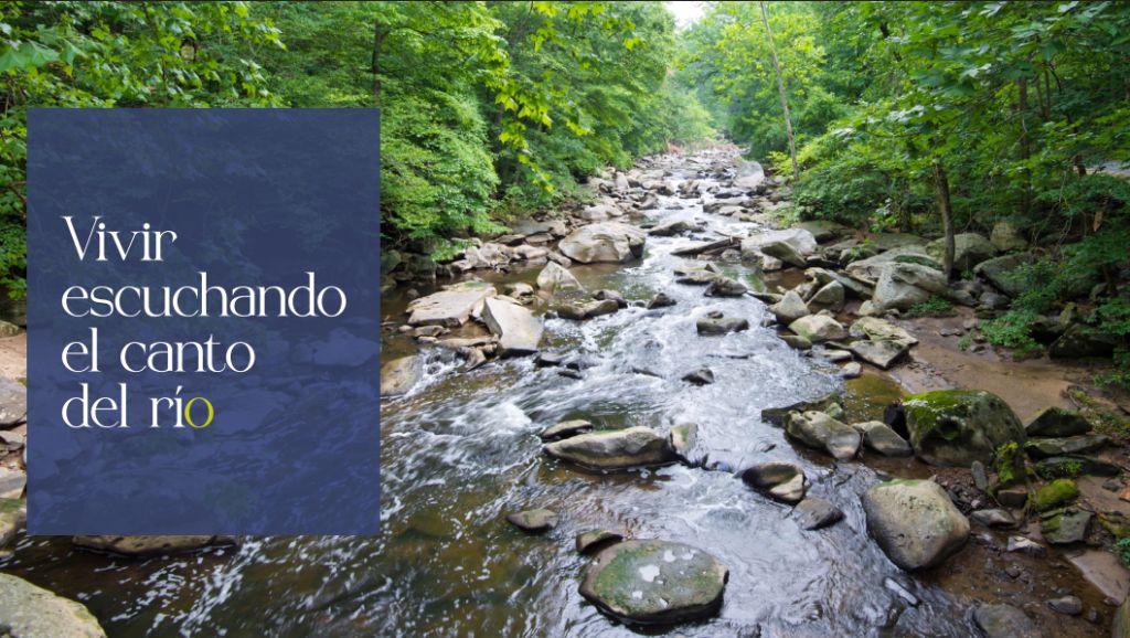 Apartamento en venta Valle Del Cauca Cali Normandía 86 m2 Habitaciones 2 Baños 2 Garajes 1 Precio $870000000