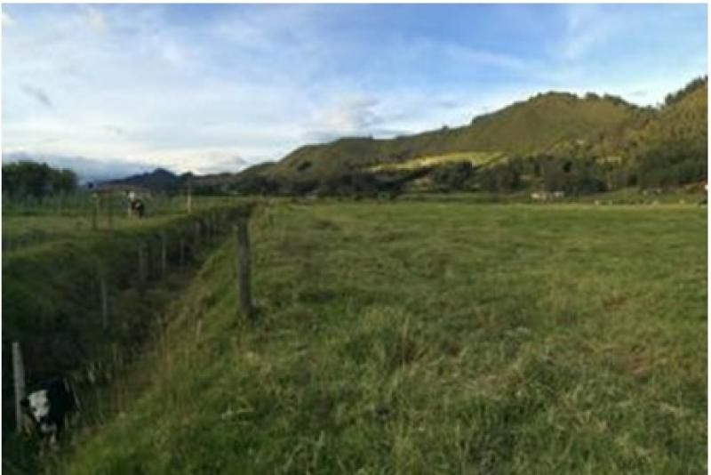 Lote en venta Cundinamarca Tenjo Tenjo 0 m2 Habitaciones 0 Baños 0 Garajes 0 Precio $400000000