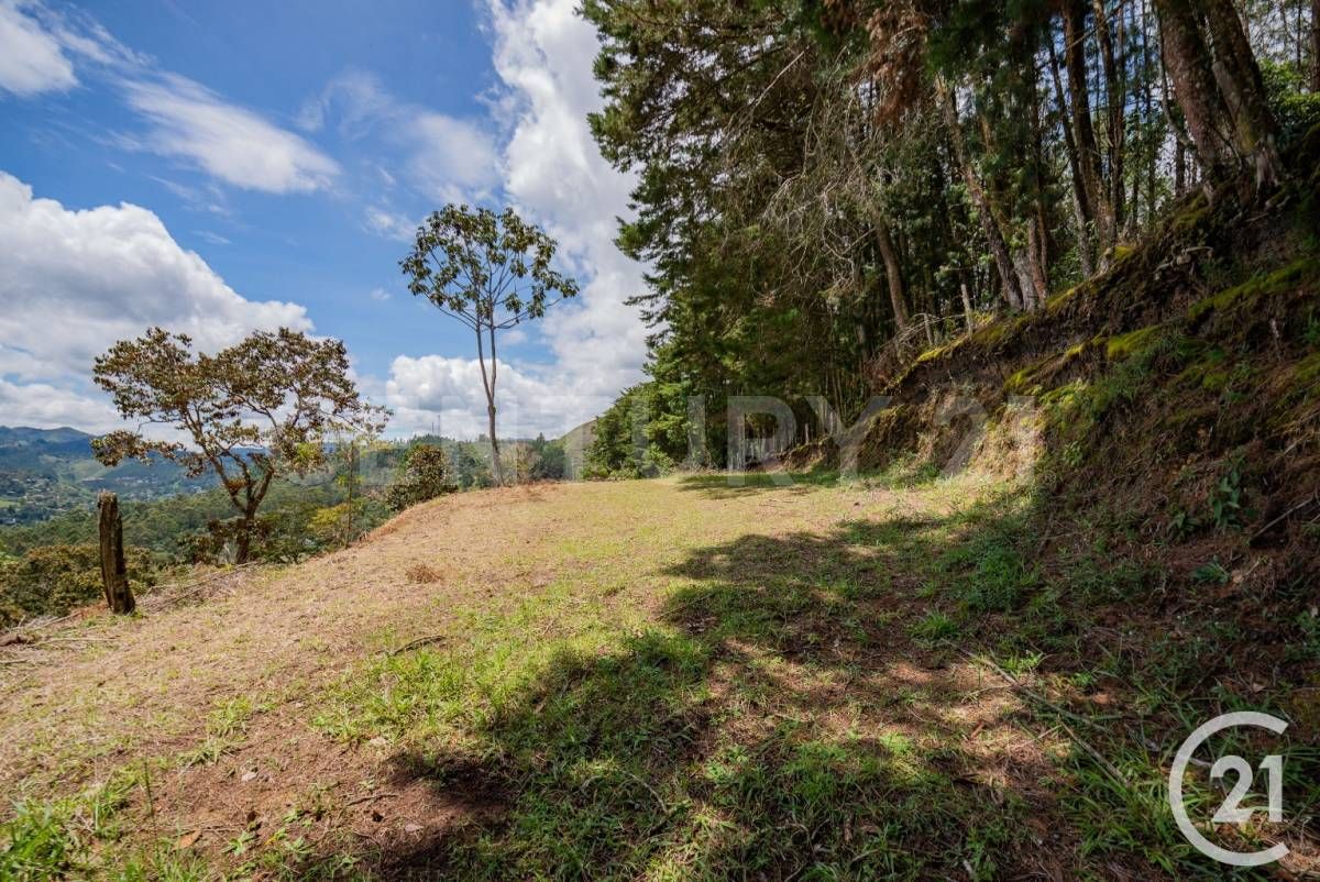 Lote en venta Antioquia El Retiro El Retiro 5000 m2 Habitaciones 0 Baños 0 Garajes 0 Precio $1150000000