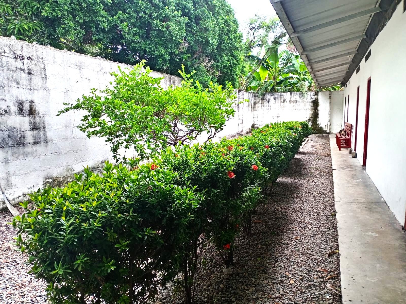 Casa en venta Tolima Guamo Guamo 195 m2 Habitaciones 6 Baños 6 Garajes 1 Precio $350000000