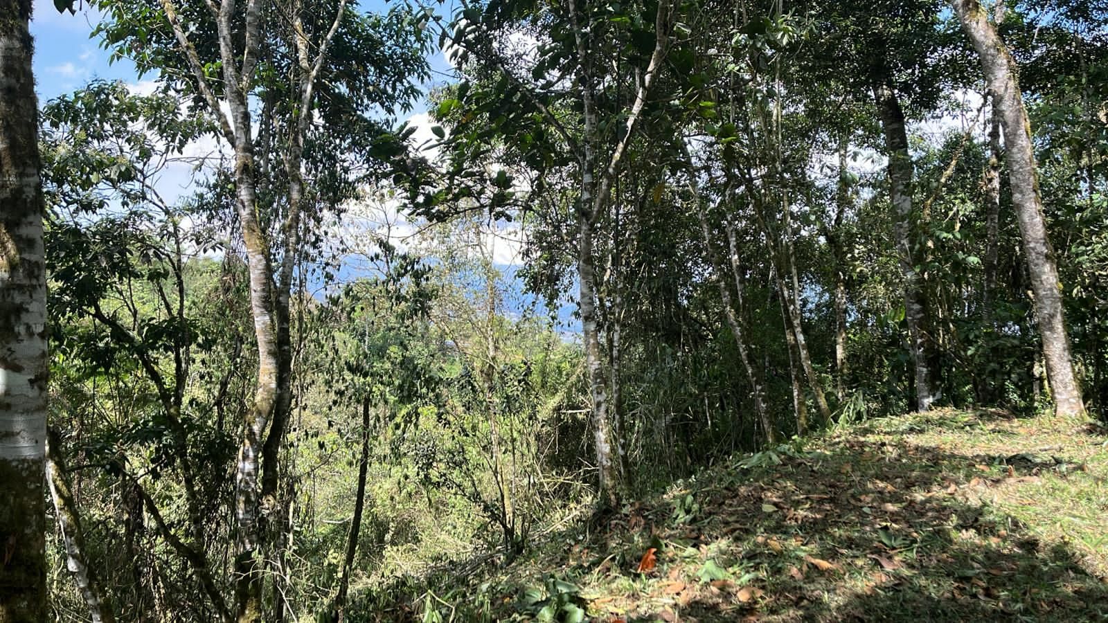 Lote en venta Valle Del Cauca Dagua Dagua 0 m2 Habitaciones 0 Baños 0 Garajes 0 Precio $300000000