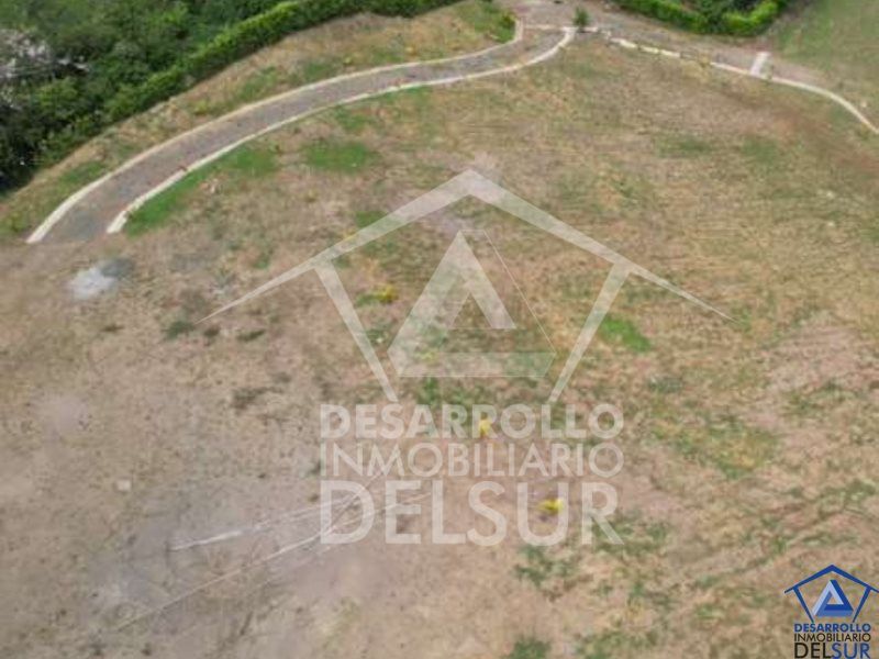 Lote en venta Antioquia Venecia Venecia 5900 m2 Habitaciones 0 Baños 0 Garajes 0 Precio $500000000
