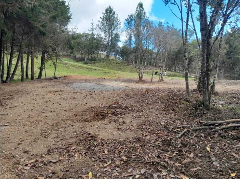 Lote en venta Antioquia La Ceja La Ceja 1624 m2 Habitaciones 0 Baños 0 Garajes 0 Precio $700000000