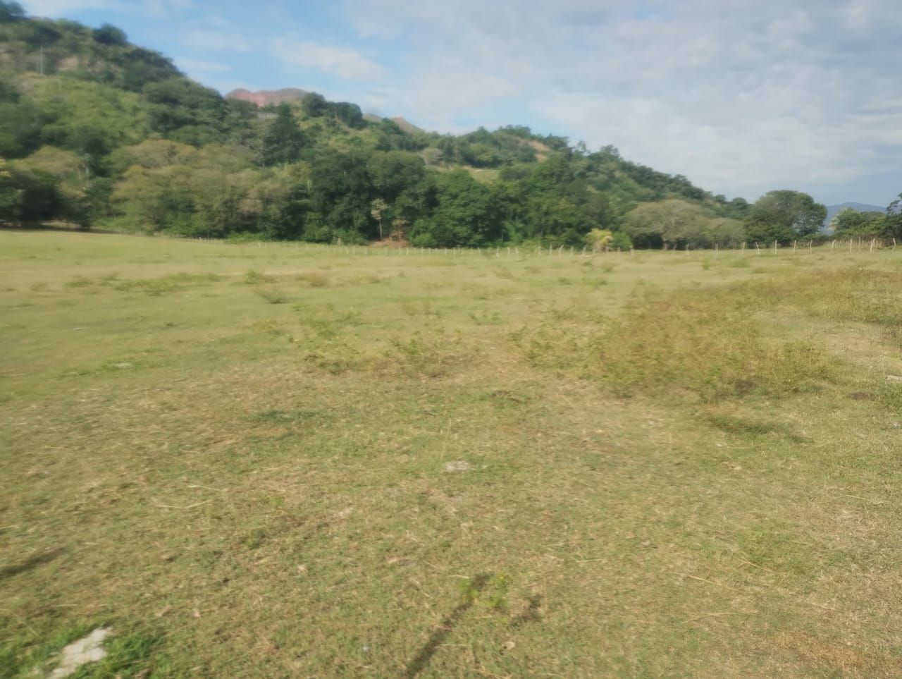 Finca en venta Tolima Ibagué Cr Tejares 60 m2 Habitaciones 4 Baños 2 Garajes 1 Precio $1200000000