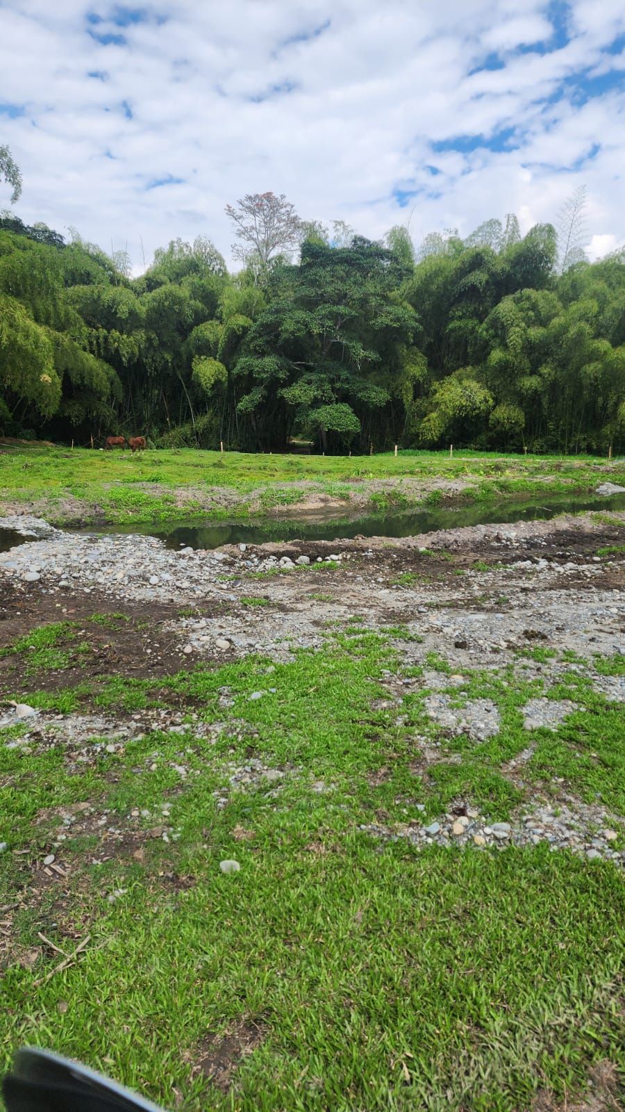 Lote en venta Quindío Calarcá Ub Villa Astrid Carolina 45 m2 Habitaciones 0 Baños 0 Garajes 4 Precio $985000000