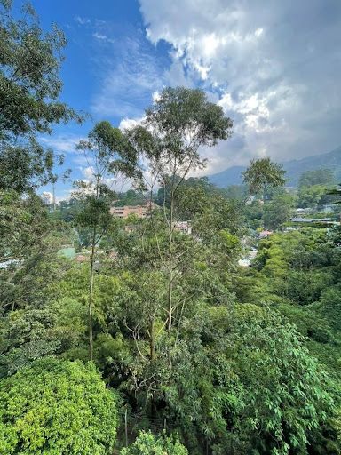 Apartamento en arriendo Antioquia Envigado El Esmeraldal 110 m2 Habitaciones 4 Baños 2 Garajes 1 Precio $4600000