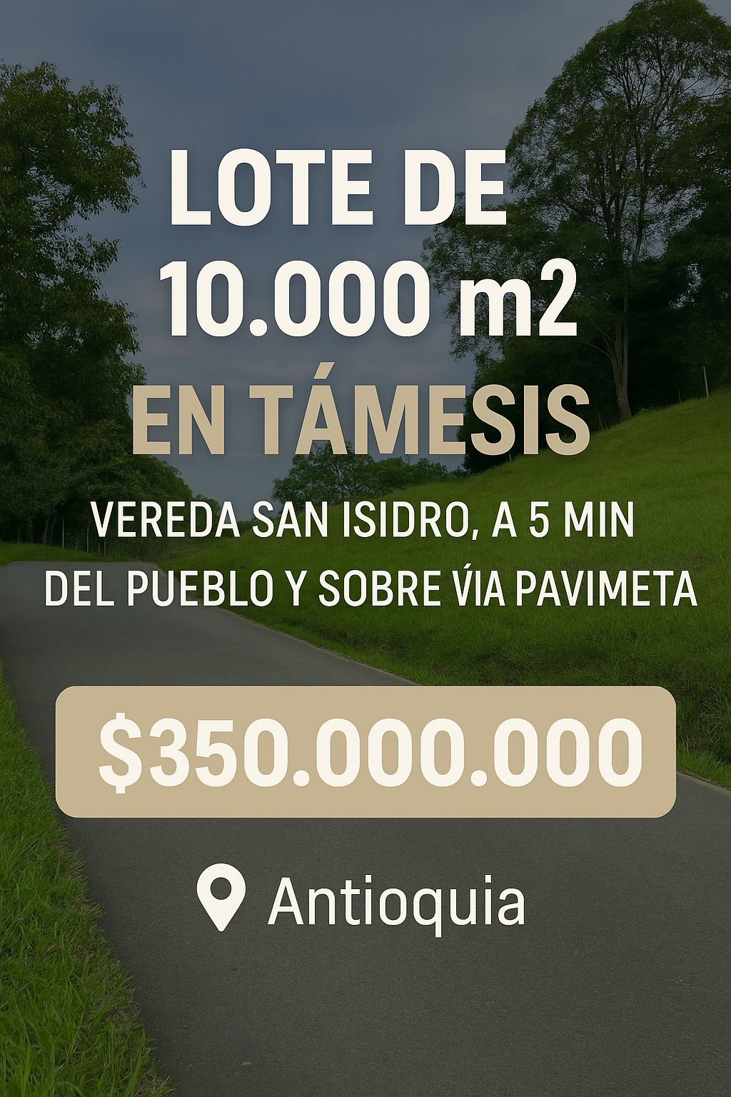 Lote en venta Antioquia Támesis Támesis 10000 m2 Habitaciones 0 Baños 0 Garajes 0 Precio $350000000