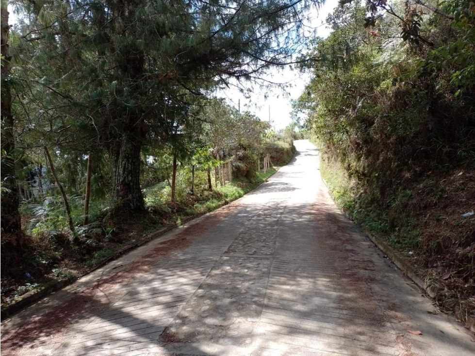 Lote en venta Antioquia Peñol Peñol 3431 m2 Habitaciones 0 Baños 0 Garajes 0 Precio $560000000
