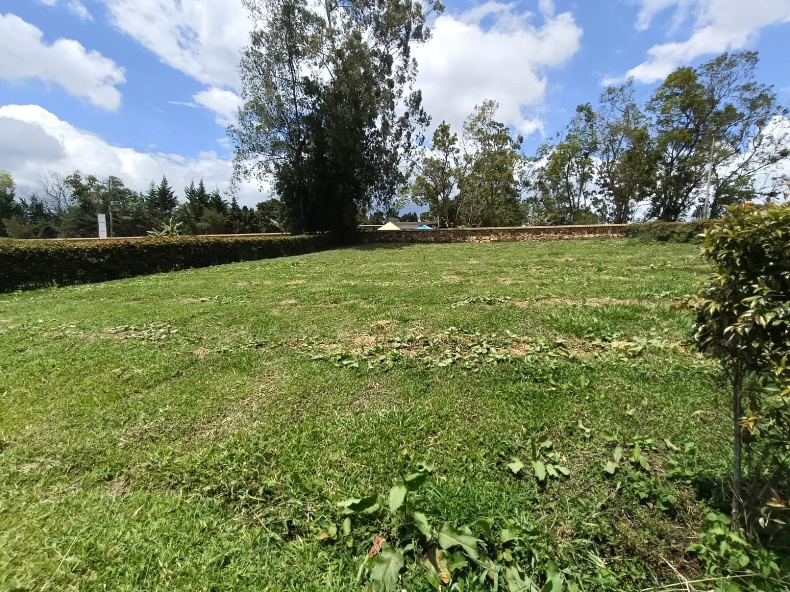 Lote en venta Santander Los Santos Los Santos 0 m2 Habitaciones 0 Baños 0 Garajes 0 Precio $150000000