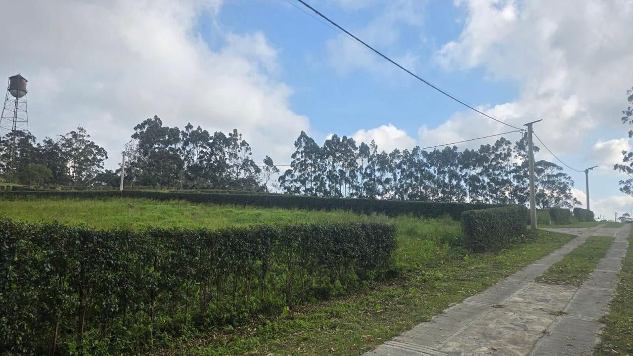 Lote en venta Santander Los Santos Los Santos 0 m2 Habitaciones 0 Baños 0 Garajes 0 Precio $150000000