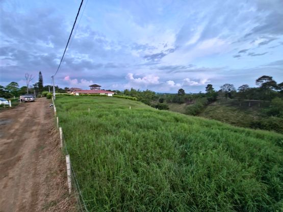 Lote en venta Risaralda Pereira Jardin De Velez Y Velez 4000 m2 Habitaciones 0 Baños 0 Garajes 0 Precio $880000000