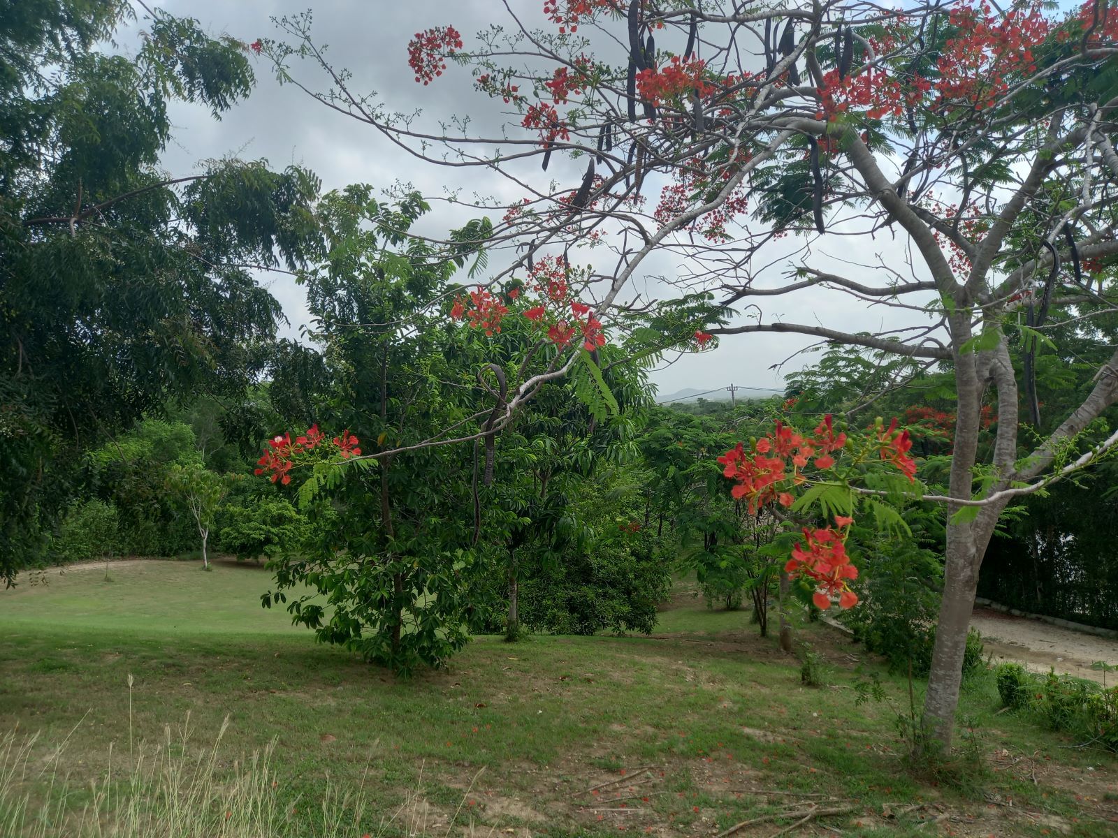 Lote en venta Bolívar Cartagena Cartagena 5318 m2 Habitaciones 0 Baños 0 Garajes 0 Precio $4500000000