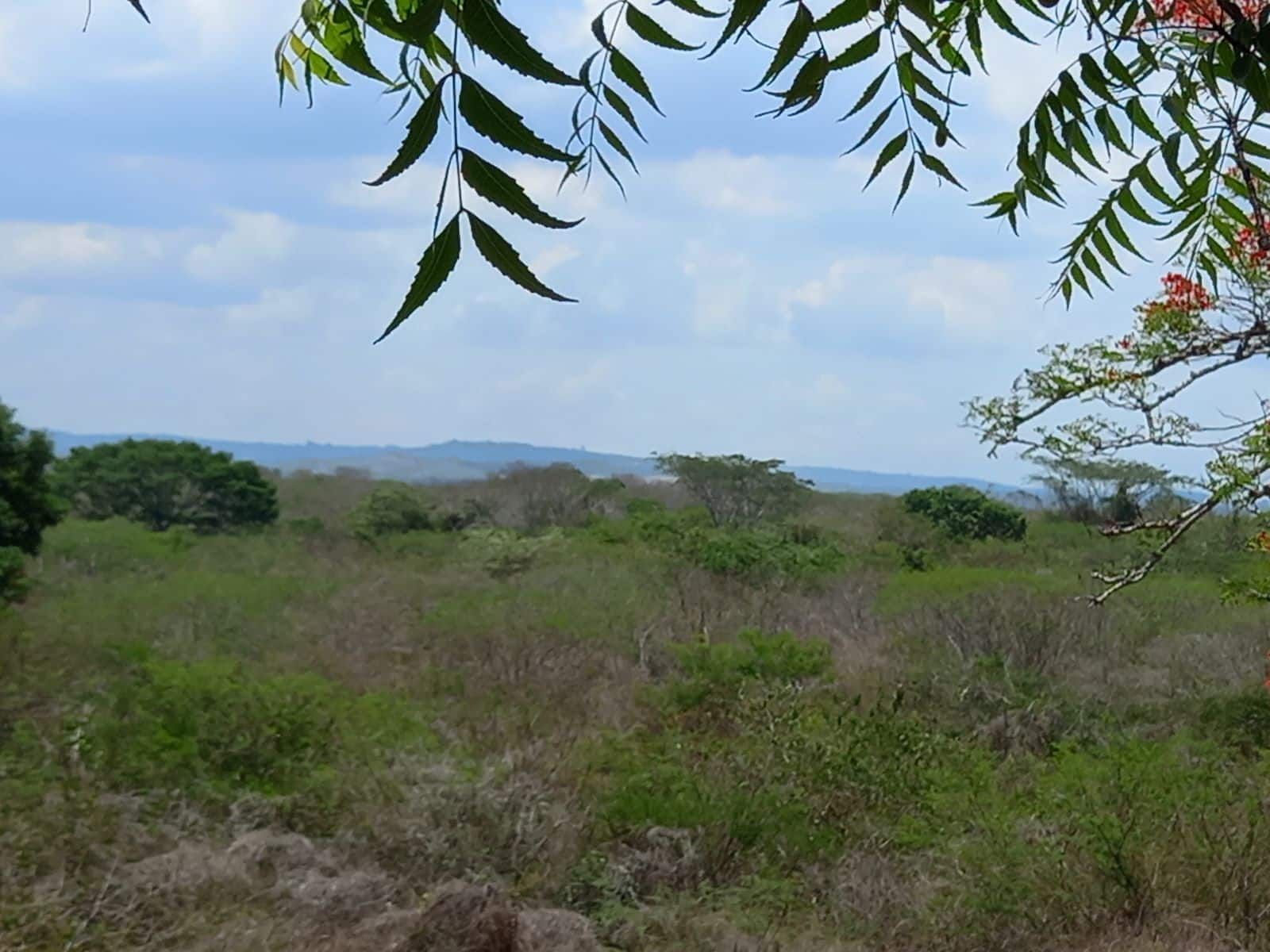 Lote en venta Bolívar Cartagena Cartagena 94 m2 Habitaciones 0 Baños 0 Garajes 0 Precio $22200000000