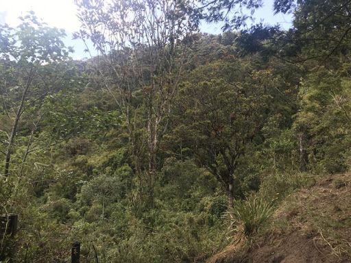 Lote en venta Cundinamarca La Calera Centro 1 m2 Habitaciones 0 Baños 0 Garajes 0 Precio $440000000