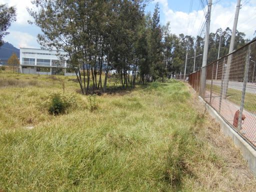 Lote en venta Cundinamarca Tocancipá Tocancipá 1 m2 Habitaciones 0 Baños 0 Garajes 0 Precio $4000000000