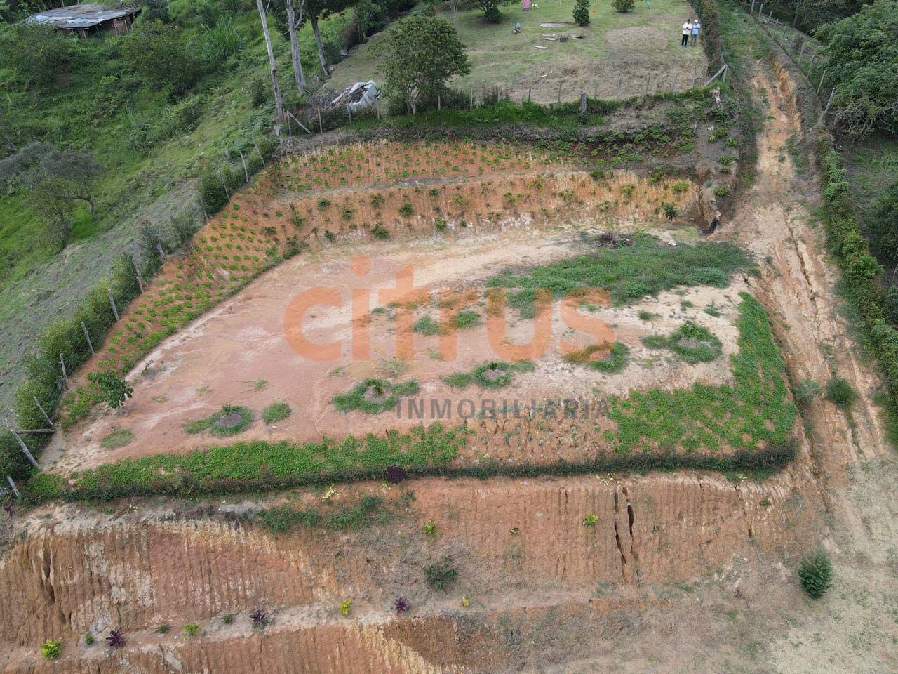 Lote en venta Antioquia Guarne Guarne 700 m2 Habitaciones 0 Baños 0 Garajes 0 Precio $200000000