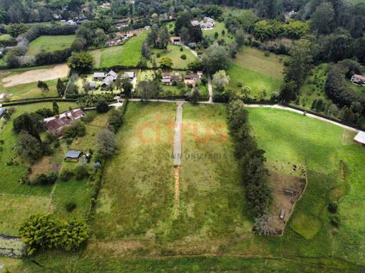 Lote en venta Antioquia Rionegro El Porvenir 9000 m2 Habitaciones 0 Baños 0 Garajes 0 Precio $1950000000