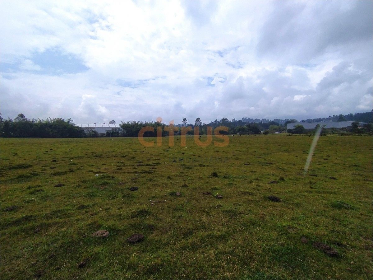 Lote en venta Antioquia Guarne Santo Tomás 24000 m2 Habitaciones 0 Baños 0 Garajes 2 Precio $7200000000