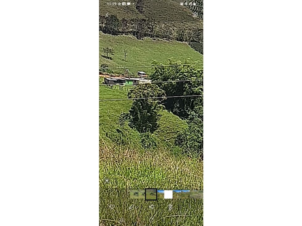 Finca en venta Antioquia Urrao Urrao 60 m2 Habitaciones 3 Baños 2 Garajes 2 Precio $1200000000