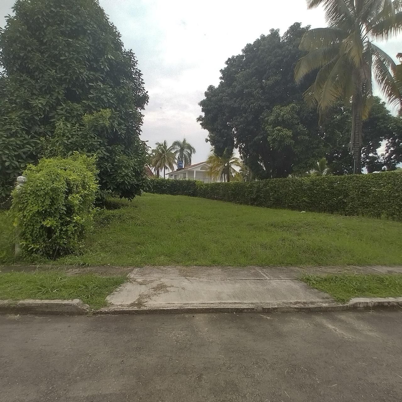 Lote en venta Tolima Melgar Las Palmas 500 m2 Habitaciones 0 Baños 0 Garajes 3 Precio $190000