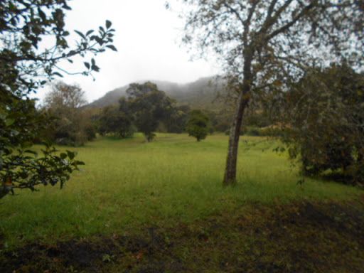 Lote en venta Cundinamarca Chía Chia 1 m2 Habitaciones 0 Baños 0 Garajes 0 Precio $1800000000