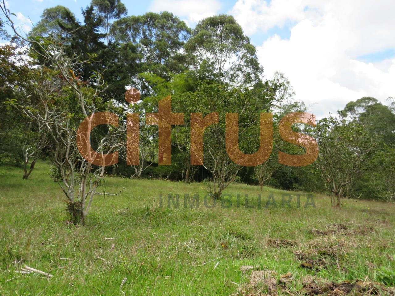 Lote en venta Nariño El Peñol El Peñol 6404 m2 Habitaciones 0 Baños 0 Garajes 0 Precio $380000000