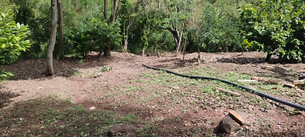 Lote en venta Santander Piedecuesta Piedecuesta 0 m2 Habitaciones 0 Baños 0 Garajes 0 Precio $370000000